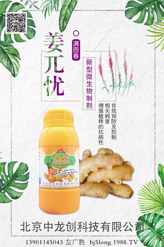 ����ʩ�ʵķ�������Щ�����ʩ�ʲ��ܸ߮a(ch��n)������ʩ�ʼ�����