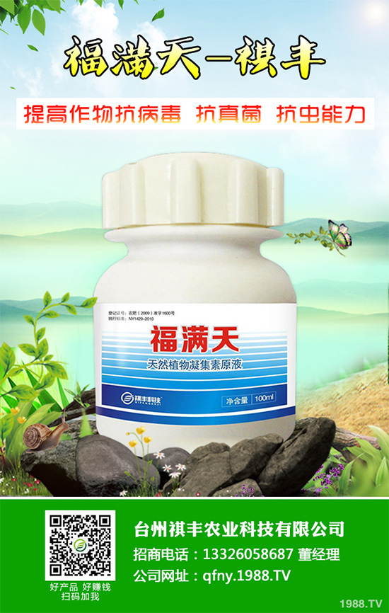 ���n������Щ��̎����Ҋ�n�ĵ�����