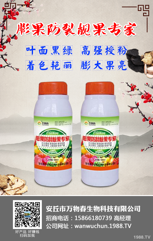 ����A(y��)����ݮ��������ݮ���η��μ���