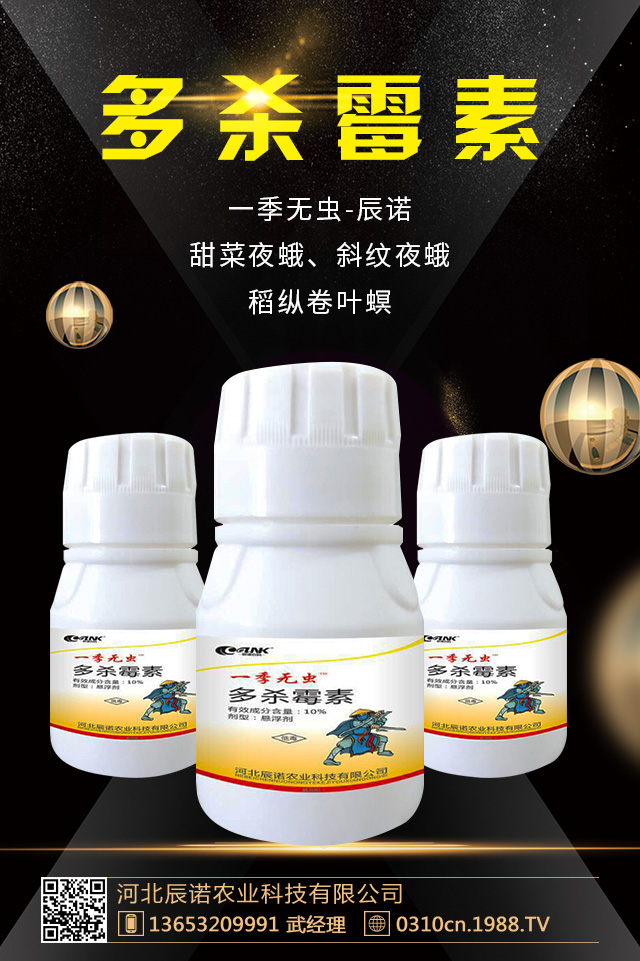 �軨�x�����ȥ�����軨�x�����μ���