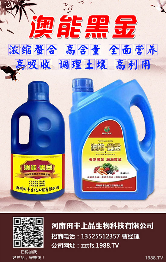 ���Ĳ�����Щ�I(y��ng)�B(y��ng)�r(ji��)ֵ���Ծ��Ĳ�����Щ��̎������Գ�������