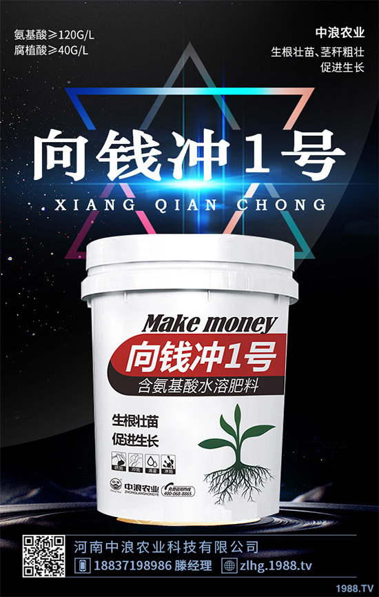 ¶�ؾ��Ĳ�ʲô�r(sh��)��Nֲ��¶�ؾ��Ĳ˷Nֲ���g(sh��)��ȫ