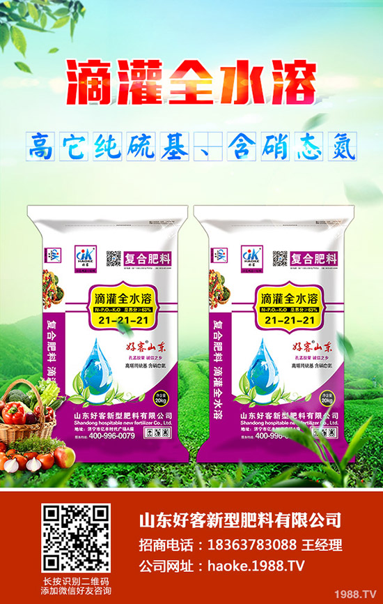 ������ӹ�������ϸ�Ч����������