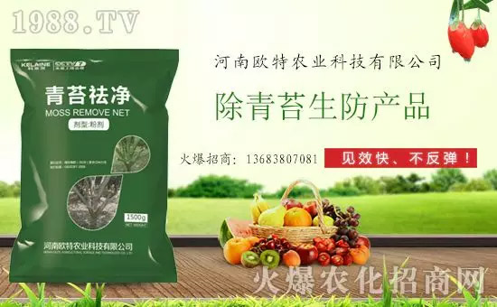 �������̦���������������Ƀ�����̦�o(w��)ۙ��