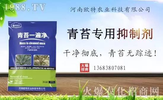 �������̦���������������Ƀ�����̦�o(w��)ۙ��