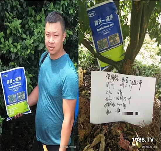 �������̦���������������Ƀ�����̦�o(w��)ۙ��