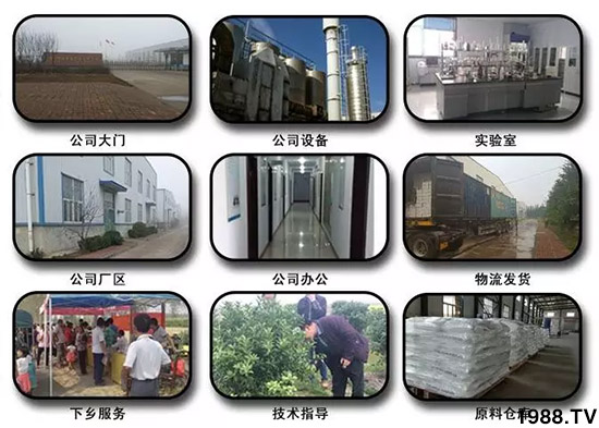 �������̦���������������Ƀ�����̦�o(w��)ۙ��