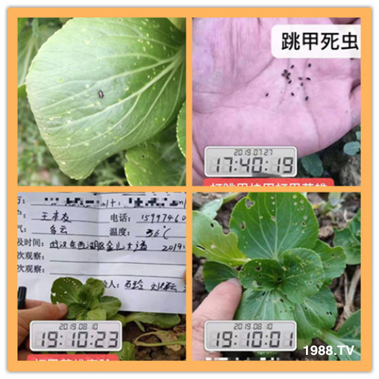     ���θ߿��԰׷�ʭ����?d��)��x(ch��ng)����һ���Ɣ�