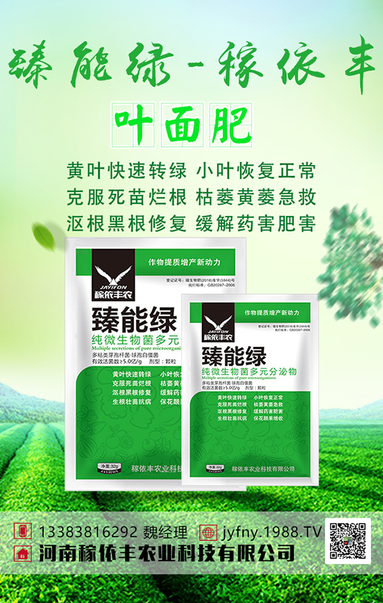 �n�Sʩ���з������n�S�Ĵ�ƌWʩ�ʼ��g(sh��)��