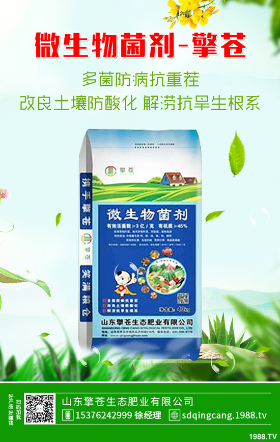     ���֏S�����؃r(ji��)���ϝq��2020��1��10�ո��؅^(q��)�����������S��(b��o)�r(ji��)��