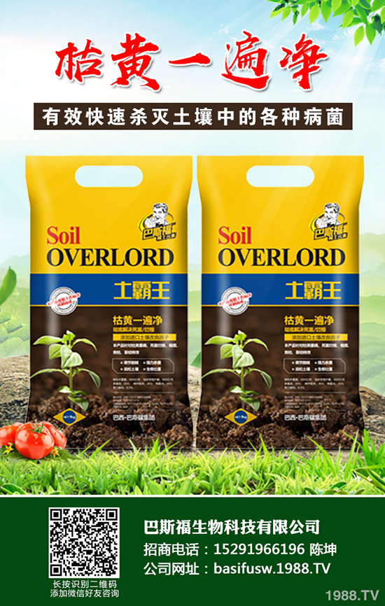 ���Sԓ��ηNֲ�����S�ĸ�Ч���༼�g(sh��)����Щ��