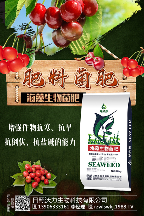 ������ôʩ�ʣ�ʩʲô����������ʩ��Ҫ�c(di��n)��