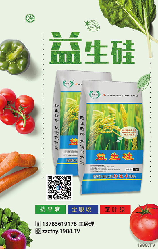 �J����ʩ��������(w��n)�}�Ľ�Q������ֵ���ղ���