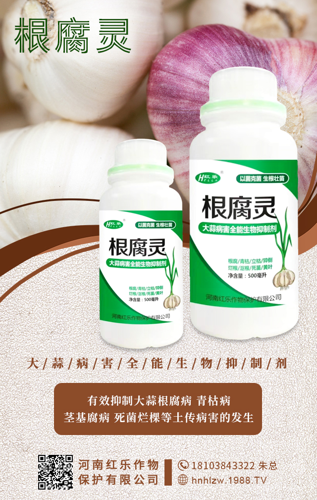 ���ϼt�����ﱣ�o���޹�˾