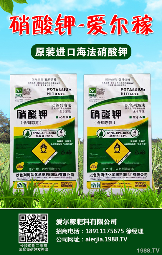 �����J�S�����w����Щ��̎���J�S�Ĺ�Ч���ü��I�B(y��ng)�r(ji��)ֵ