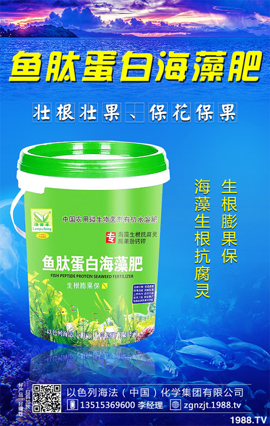 �۲˲���������ЩΣ����ԓ��η������۲˲�������Σ���c����