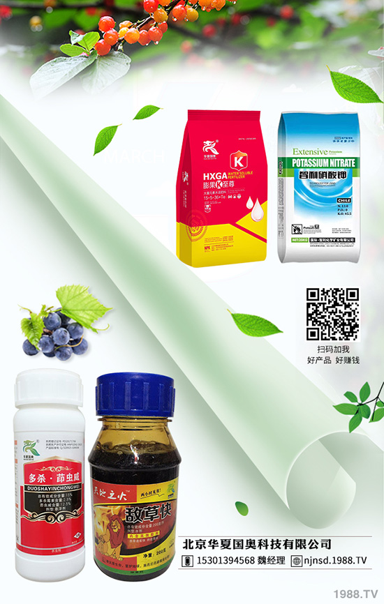 �������x �������xˎ