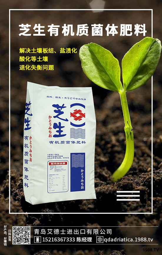 ��������Щ�I�B(y��ng)�rֵ�����ҵĹ�Ч�c������ʲô������xُ��