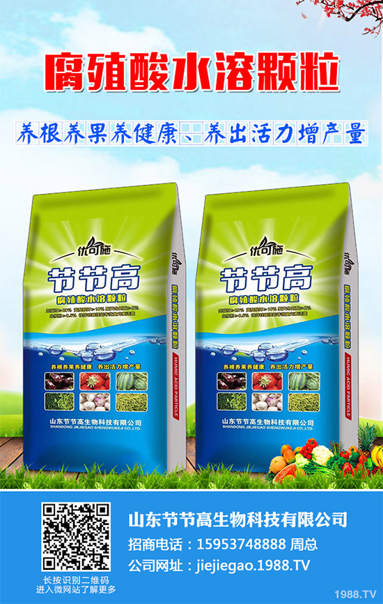 �Nֲ�㹽ǰ�������2020���㹽�Nֲǰ������