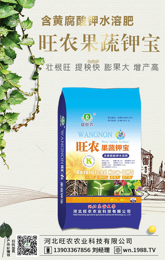 ���������L��������Щ���������B(y��ng)�oҪ�c��