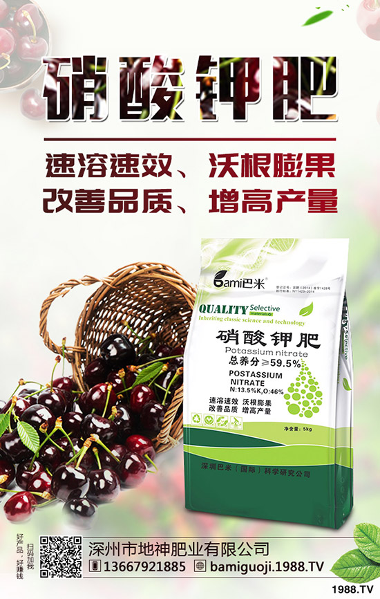 �óԵ���ȹ�Ҫ��ηNֲ����ȹ��Nֲ�r(sh��)�g��������