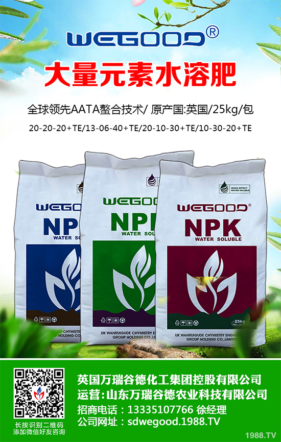 ¶������ʲô�r��Nֲ��¶�������߮a(ch��n)�Nֲ���g