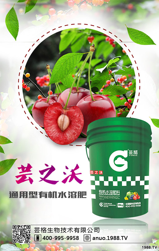 ������ԓ��ηNֲ��������ķNֲ��������