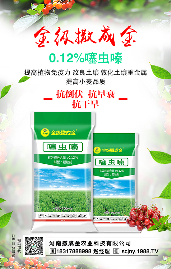 ���ˠI�B(y��ng)�S�������S�գ�����ʩ�ʺ���Ҫ