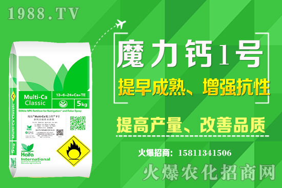 ʮ����Ѯ�m�ϷNֲʲô��ˎ�ģ���Щ��ˎ��ٍ�X�������