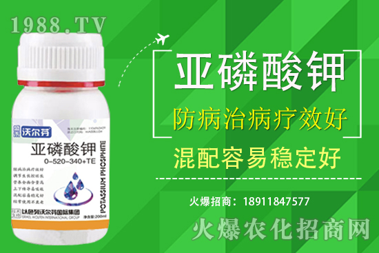 �������Ҫ��������ʲô������֮�g��ʲô�P(gu��n)ע��