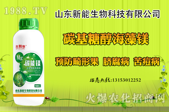 ���������ݮ���ι�ԭ�򣬳��F(xi��n)���ι���ô������