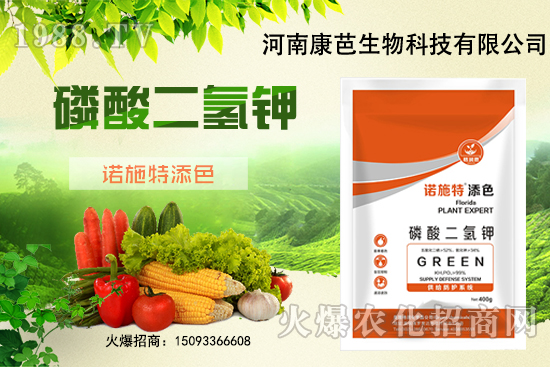 �������￹�����������⛼����������������8����