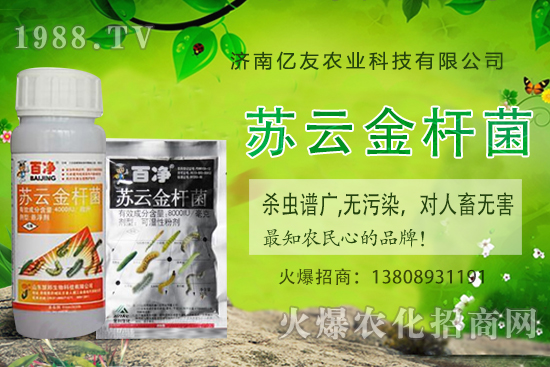 �S�ҷNֲ��(y��ng)ԓע����Щ���(xi��ng)���S�ҷNֲ�r(sh��)�g�����g������