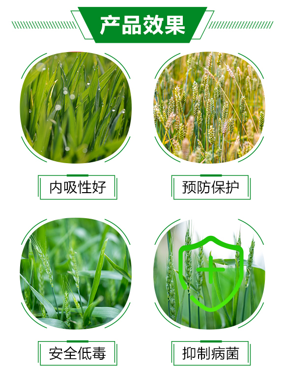 40%���Ѽ׭h(hu��n)��100�ˣ�-�Ȳ�-̩�̻���_03