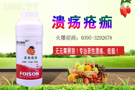 2021��ʯ��Nֲ���������ʯ�������ǰ����ô����