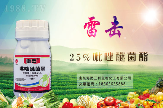 ħ��r������Xһ����2021��ħ��Nֲǰ�������