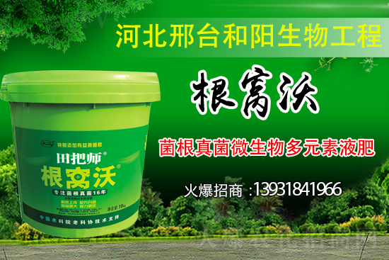 ��Щ��������������������ȡʲô��ʩ���Է�����