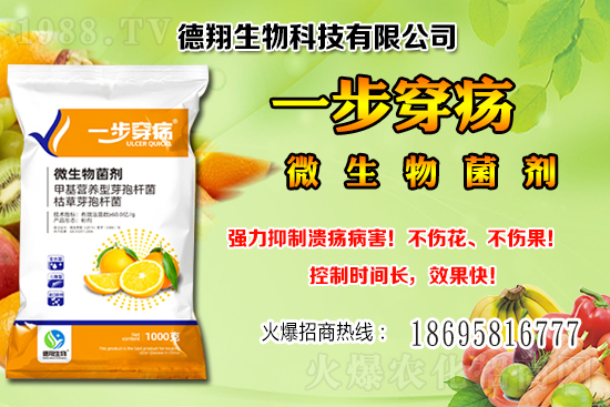 ���a(ch��n)�󶹃r��(w��n)���е���2020-12-21�����������ֵ؅^(q��)�����飡