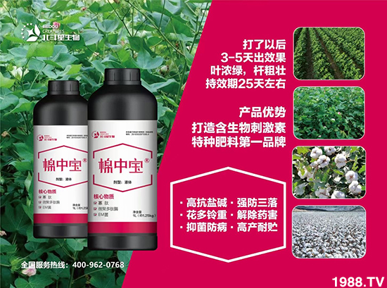 �طN�ʞ�ʲô�@ô������ʲô���c(di��n)֮̎��