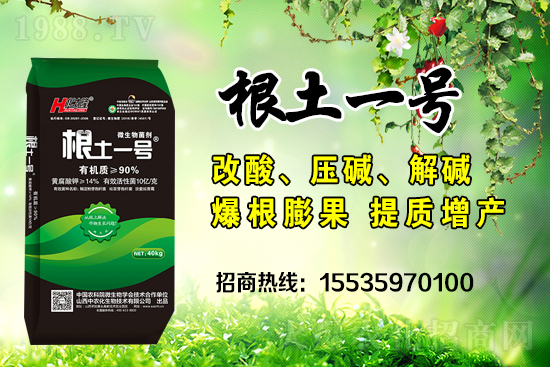     ΢��������е�΢������ʲô������΢�����������θ�����������