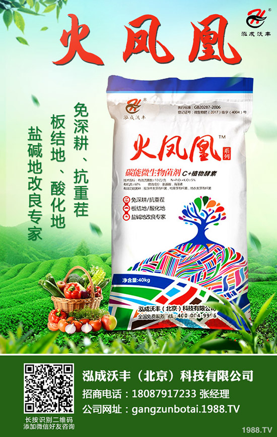 ��Ҋ�������ɺ��x����Щ���������ɺ��x���������