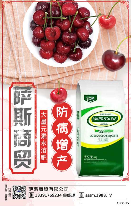 ������ԓ��ηNֲ���紺���׸߮a(ch��n)�Nֲ���g(sh��)Ҫ�c