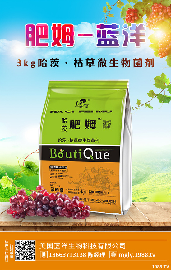 ������(sh��)ԓ��ηNֲ�����������p�ɷN���߮a(ch��n)������