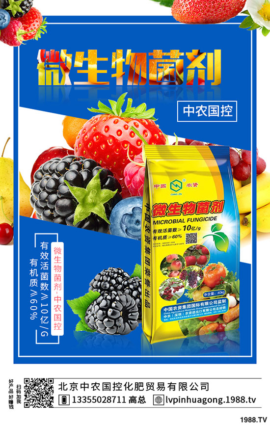 �����ʲô�I(y��ng)�B(y��ng)�r(ji��)ֵ����ϵĹ�Ч��ʳ��ע�����(xi��ng)��