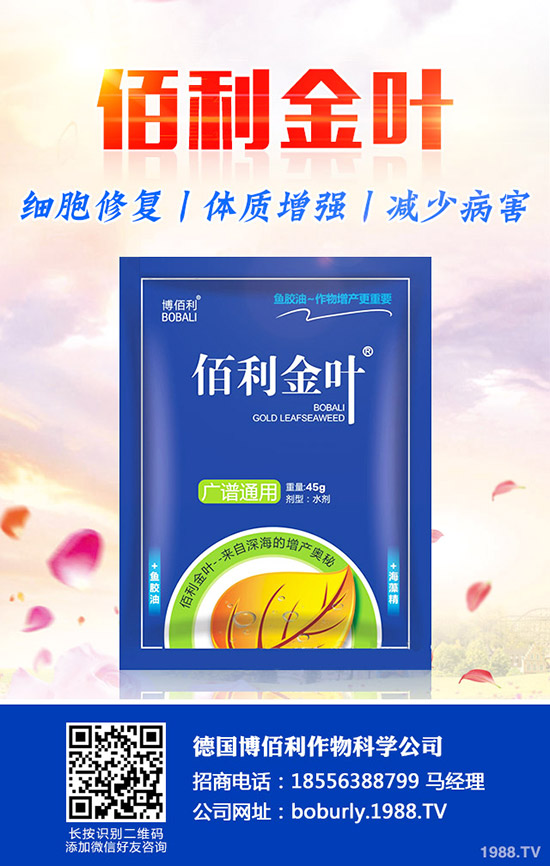 ����(sh��)����A(y��)���ʺ����l(f��)���ʺ�������a(b��)�ȣ�