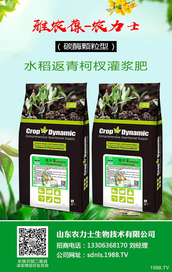     ԭ�σr(ji��)�񲨄�(d��ng)����(f��)�Ϸʳɽ��ܴ���2020��4��14������(f��)�Ϸ������߄�(sh��)������