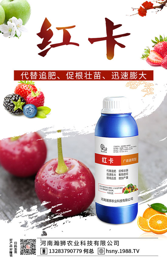 �����������ι�����������������Լ��g(sh��)Ҫ�c(di��n)