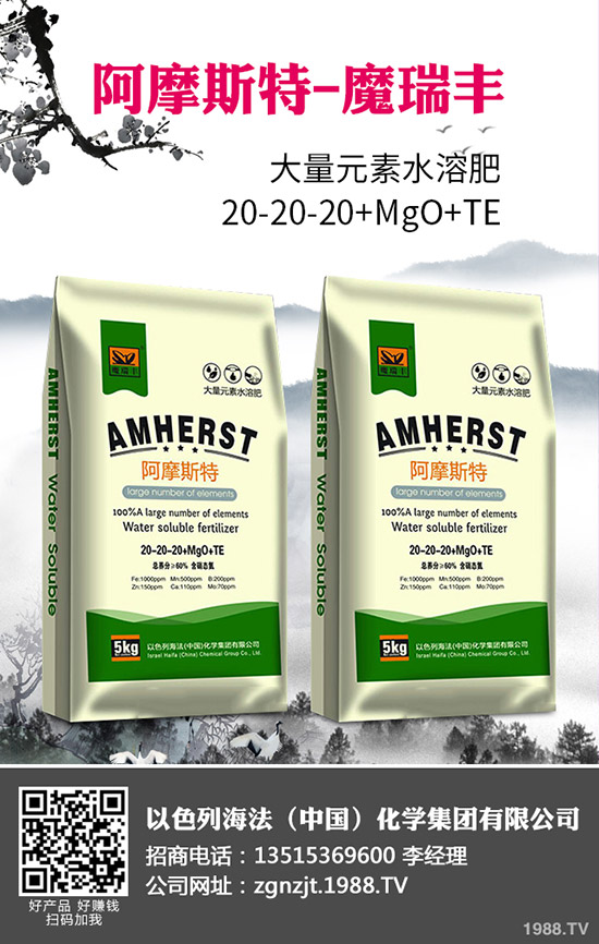 2020�괺����ʲô�r(sh��)�g���N�������׷Nֲ���g(sh��)