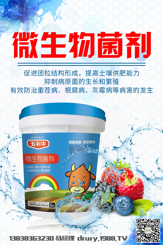 ����²�ԓ��ô�Nֲ���²˴���������g(sh��)Ҫ�c(di��n)