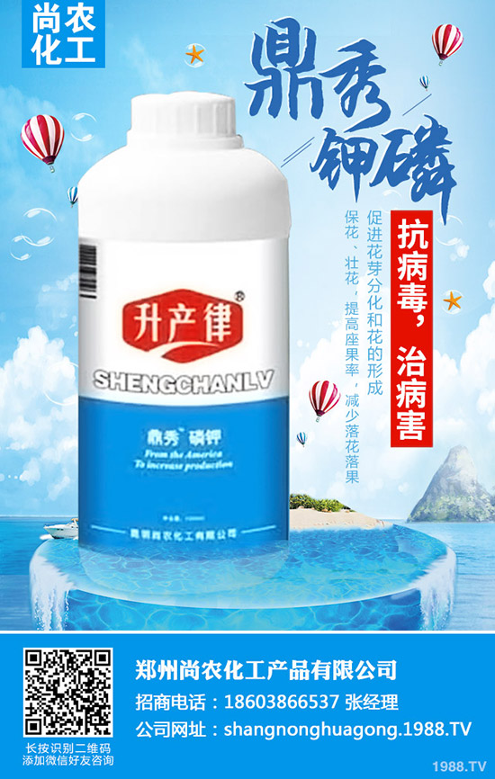     ���{���Y(ji��)����ô�k�����{���Y(ji��)��ԭ�򼰷��δ�ʩ��